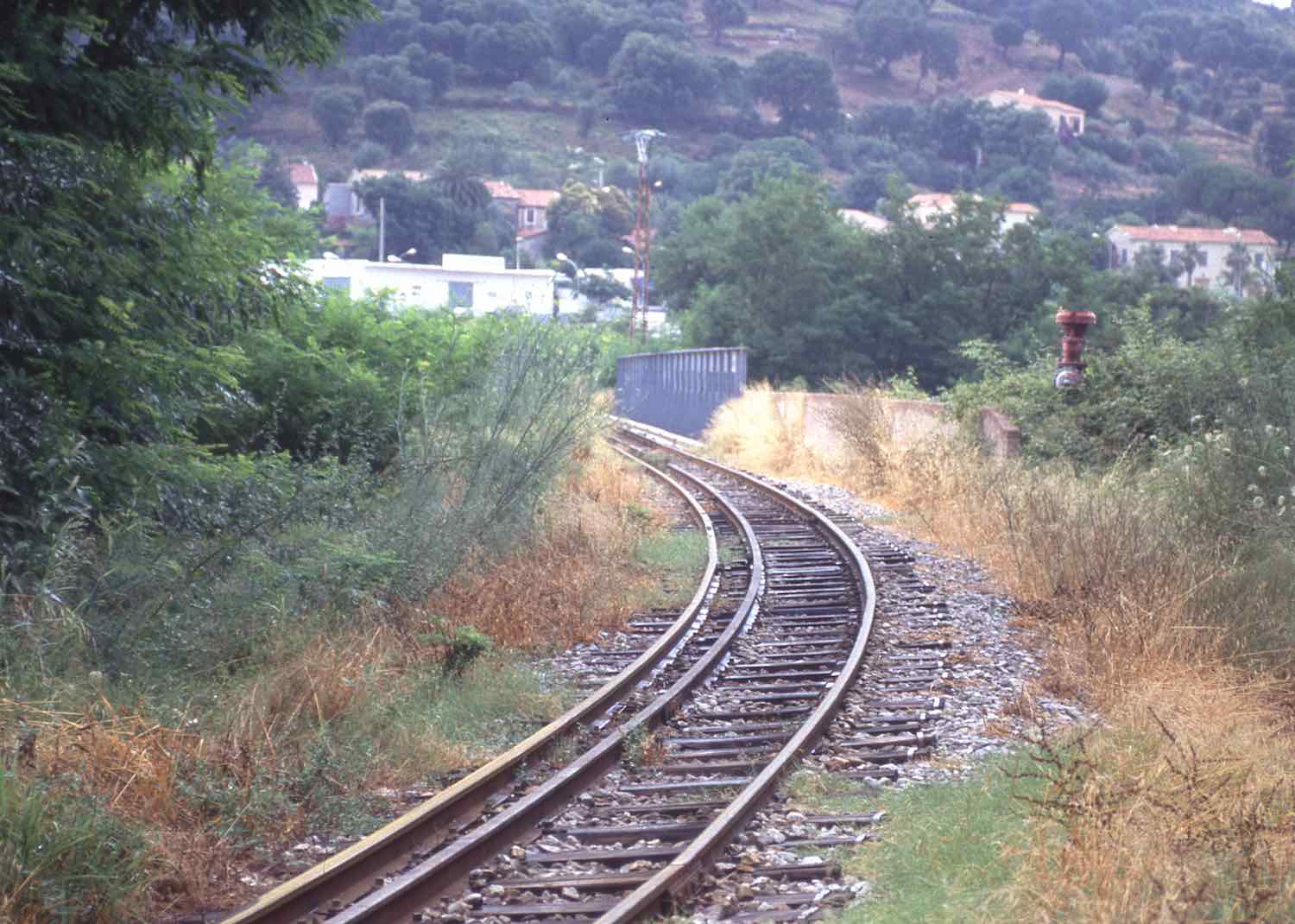 FU278.jpg