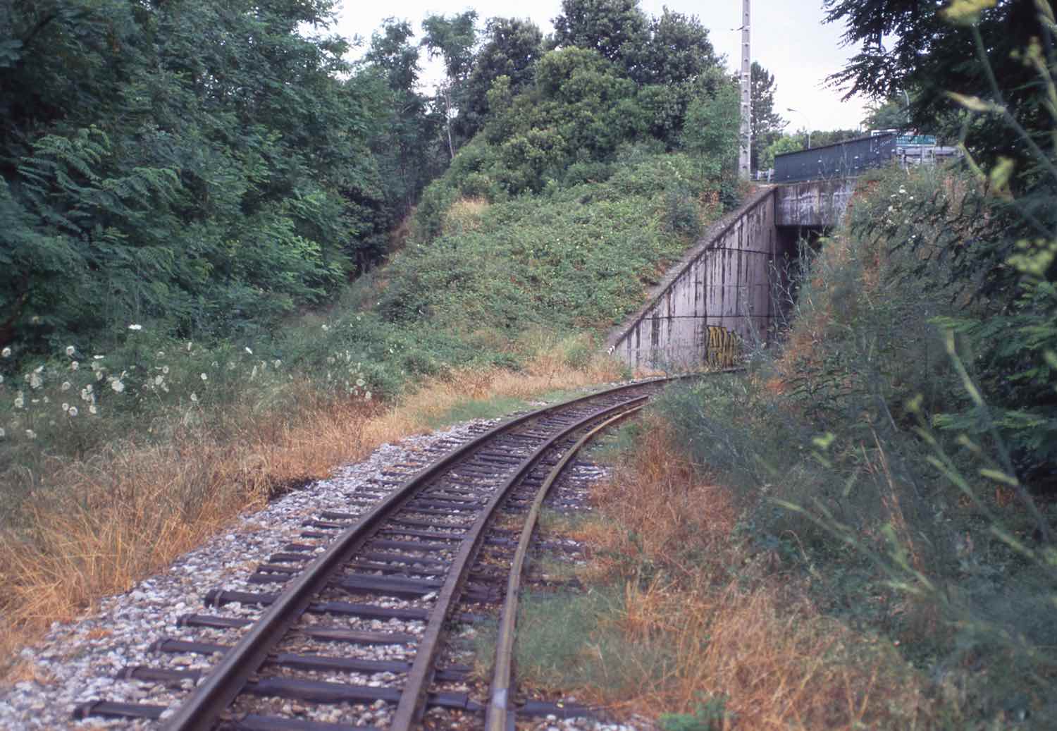 FU279.jpg