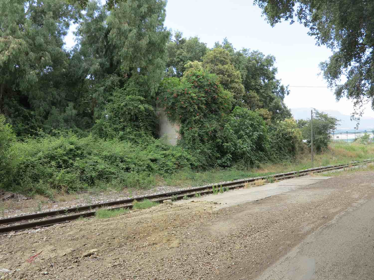 EL745.jpg