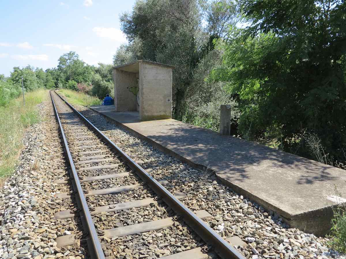 EL1034.jpg