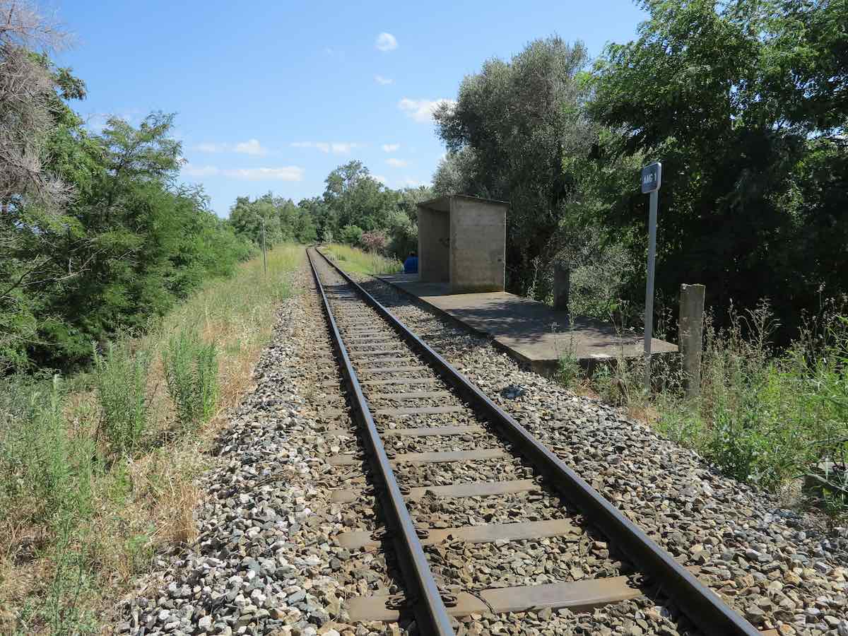 EL1035.jpg